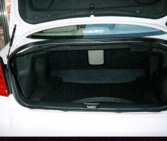 SKYLINE TRUNK
